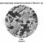 Диаграмма состояния сплавов системы Fe–Fe3C :: Структурный анализ сплава с концентрацией углерода 3,8%