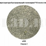 Быстрорежущая сталь :: Микроструктура быстрорежущей стали марки Р18 после отжига